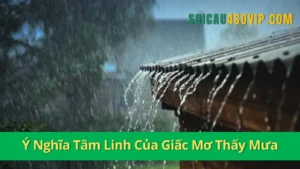 Ý Nghĩa Tâm Linh Của Giấc Mơ Thấy Mưa