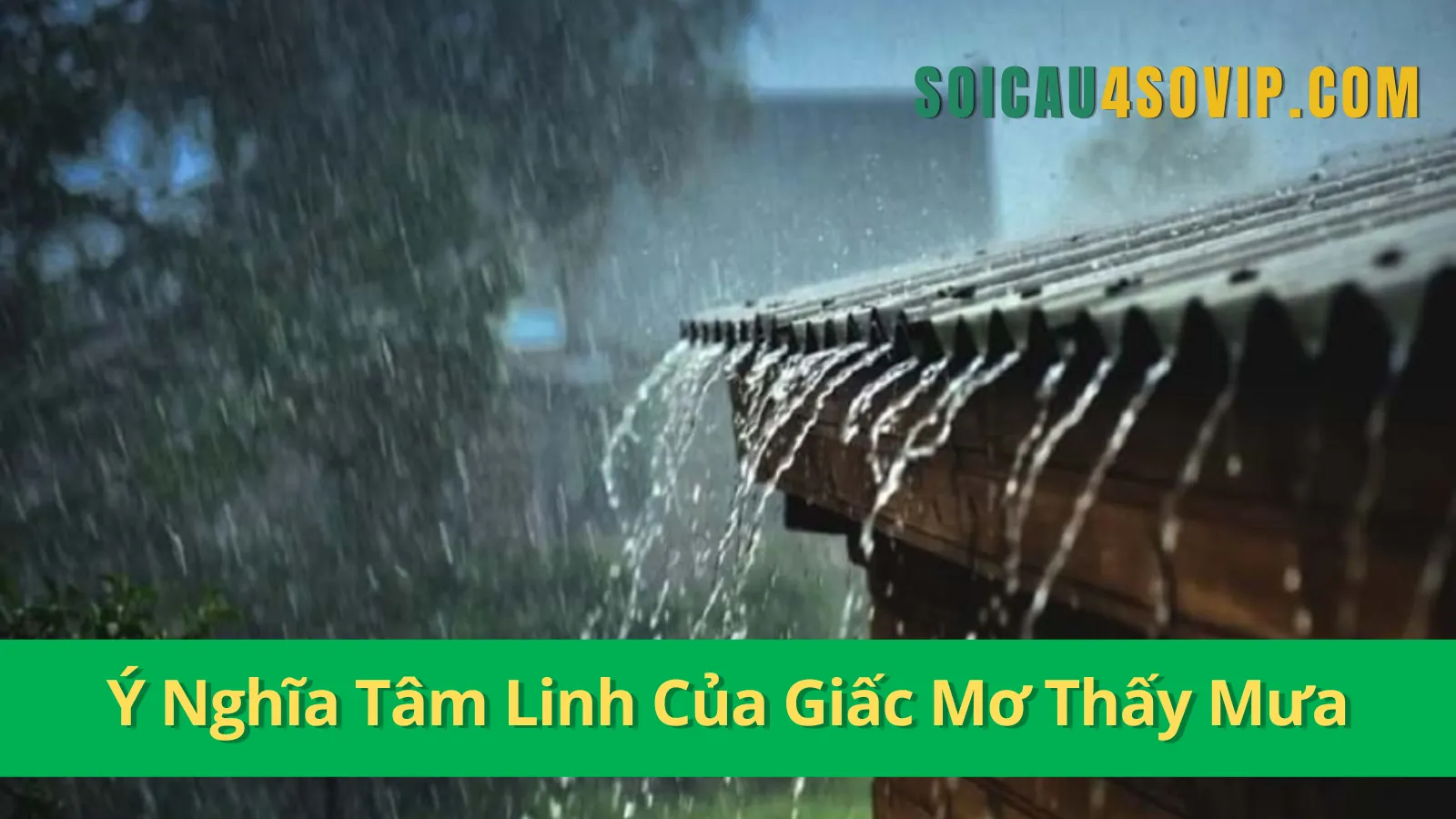 Ý Nghĩa Tâm Linh Của Giấc Mơ Thấy Mưa